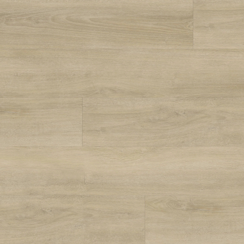 Metroflor Provident Urban Sugar Grove Swatch