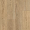 Paramount Signature WPC Sunriver Tan Sample