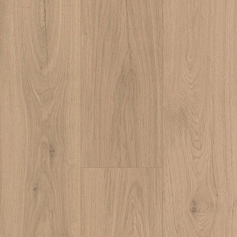 Paramount Bliss Dry Back Dodger Point Swatch Square