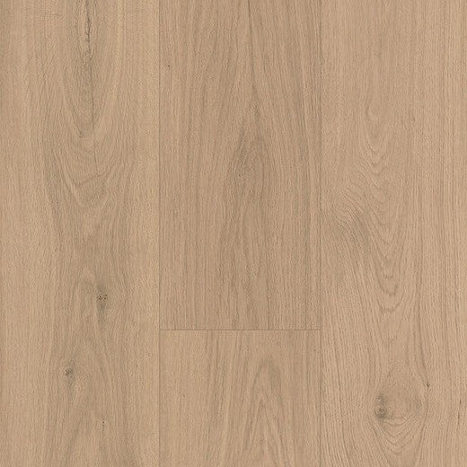 Paramount Bliss Dry Back Dodger Point