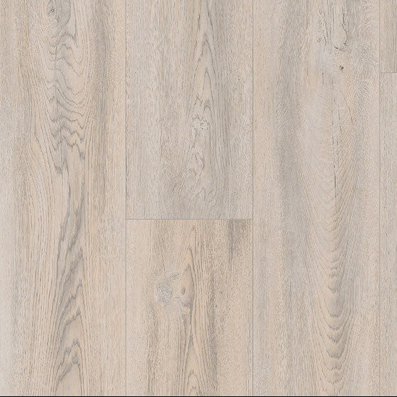 Paramount Bliss Dry Back Pantheon Sample