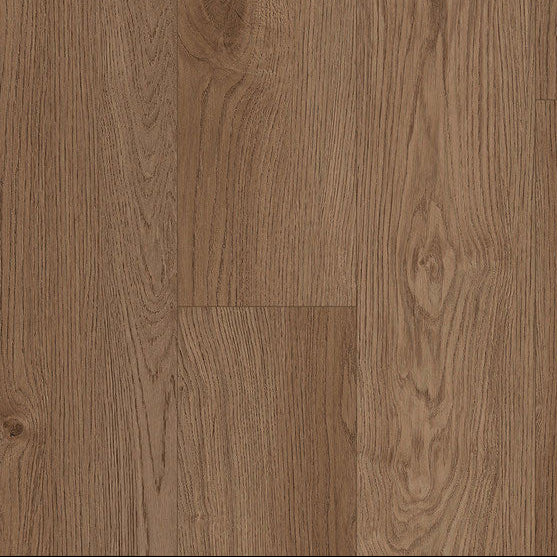 Paramount Bliss Dry Back Rock Dove Sample