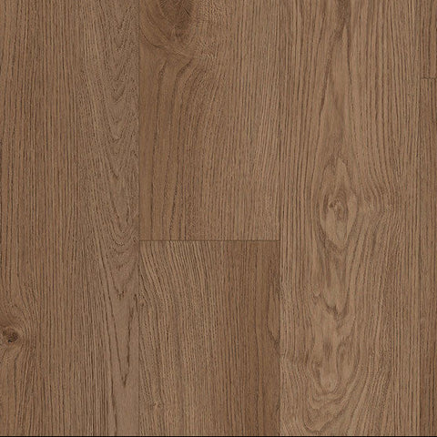 Paramount Bliss Dry Back Rock Dove Swatch Square