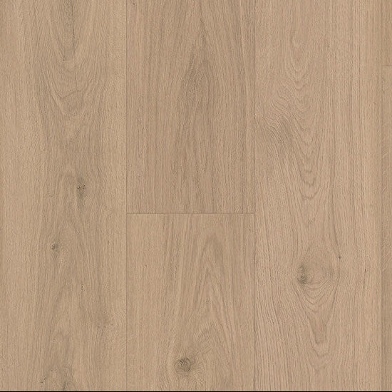 Paramount Bliss Dry Back Smoke Tree