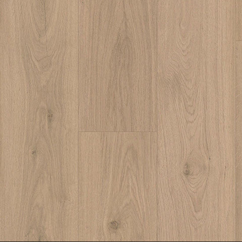 Paramount Bliss Dry Back Smoke Tree Swatch