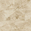 Paramount Signature WPC 12x24 Buttermilk Hill Swatch