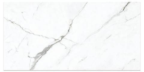 FloorLife Avanta 12x24 Rectified White Swatch