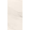 FloorLife Bravura 12x24 Matte Rectified Soft Marble Swatch