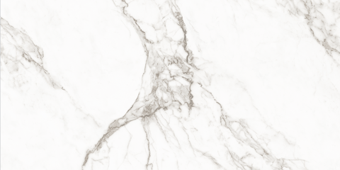 FloorLife Maravella Rectified 12x24 White Swatch