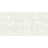 FloorLife Marmi 12x24 Matte Rectified Carrara Premium Swatch