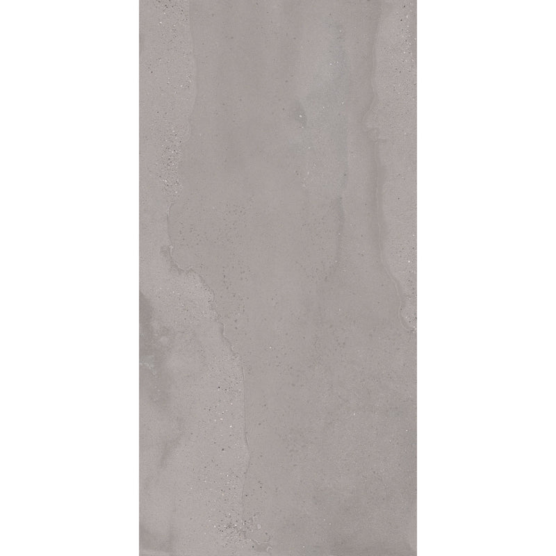 FloorLife Mountain 12x24 Matte Rectified Storm