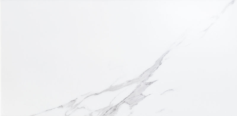 FloorLife Porta 12x24 Matte Pressed White