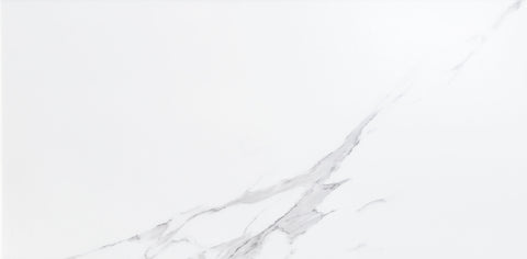 FloorLife Porta 12x24 Matte Pressed White