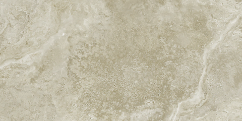 FloorLife Riverway 12x24 Matte Pressed Almond Swatch