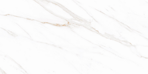 FloorLife Viaterra 12x24 Rectified Oro