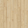 Tawny Meadow Oak / 22.58