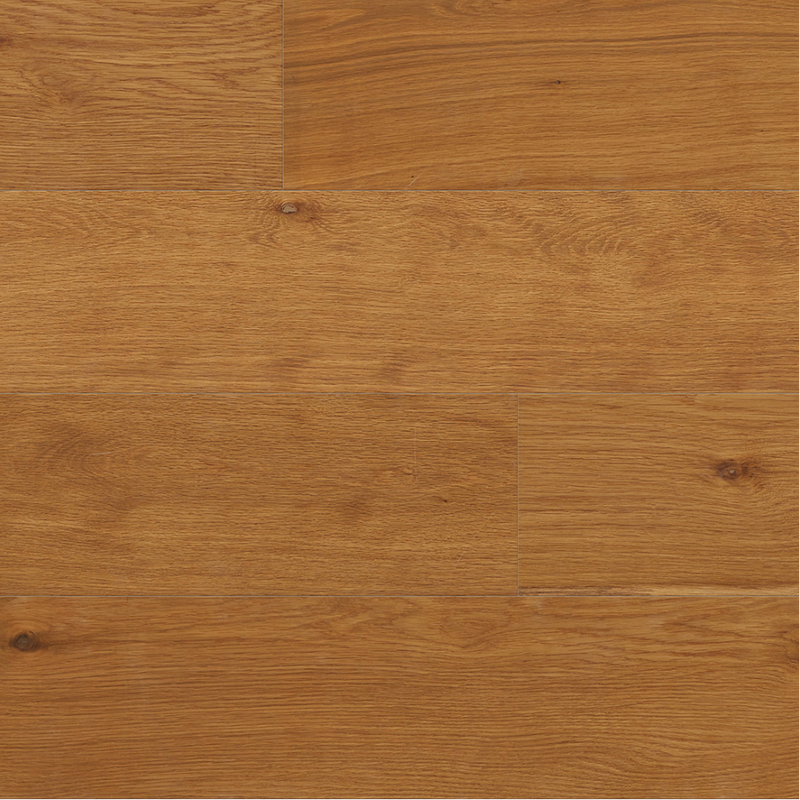 Paramount Lotus Lodge Early Dawn