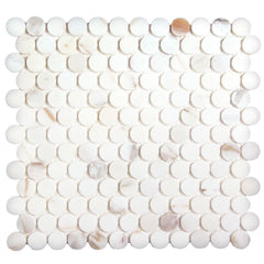 W.D.C. Penny Round Calacatta Gold Swatch