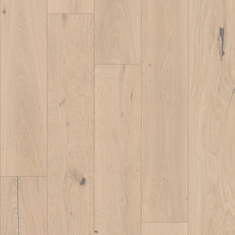 Shaw Expressions Cadence engineered hardwood swatch showing light blonde oak planks with subtle graining and soft knots Swatch