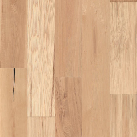 Shaw Natural Classics Hickory 7" Swatch