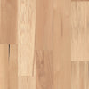 Shaw Natural Classics Hickory 7" Swatch