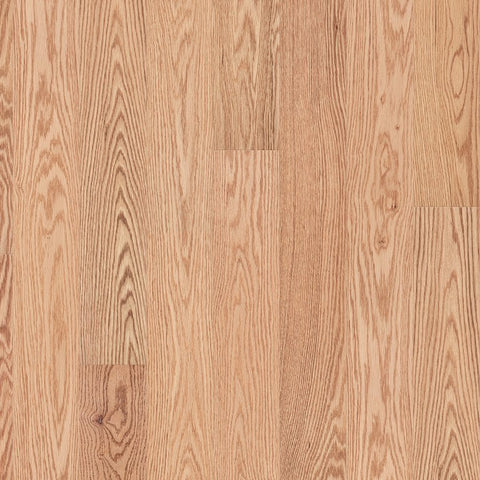 Shaw Natural Classics Red Oak 5" Swatch