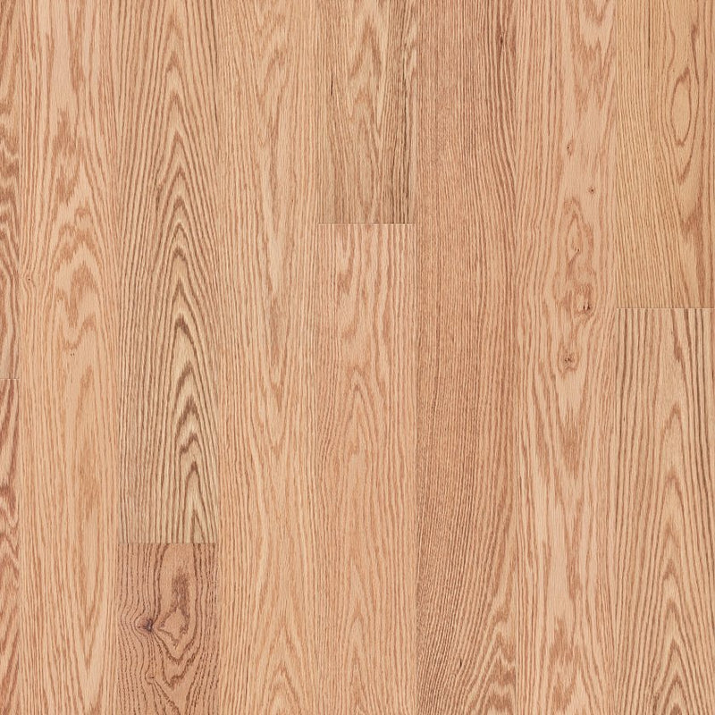 Shaw Natural Classics Red Oak 5