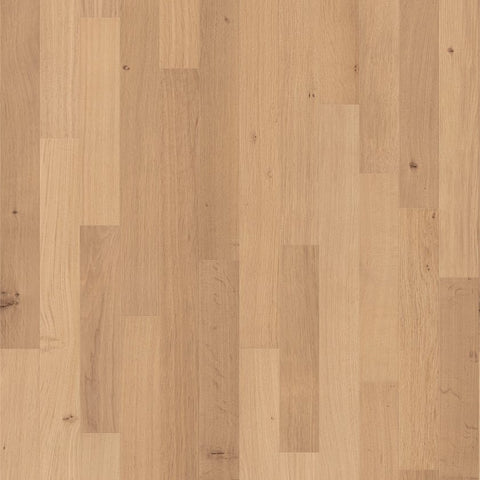Shaw Natural Classics White Oak 3" Swatch