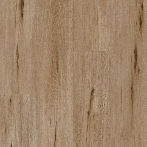 Paramount Signature WPC Sand Spring Swatch