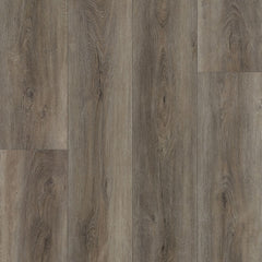 Paramount Signature WPC Taupe Swatch