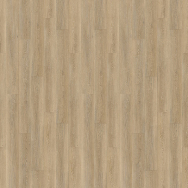 Casabella Versacore Grande 10 Springtime