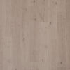 Sculpture Oak / 18.89