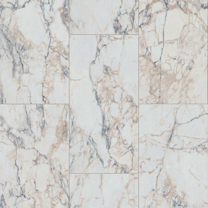 Paramount Signature WPC 12x24 White Ice