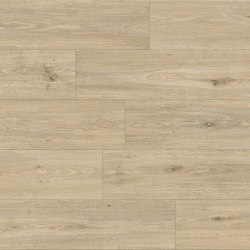 Responsive Allure Cedar Falls
