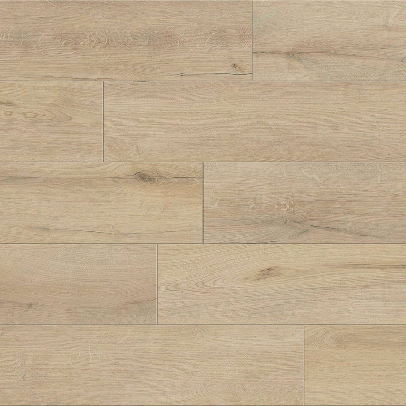 Responsive Allure Saddlers Creek