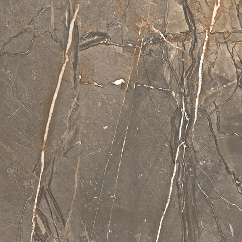 Paramount Tile Amaranto Brown Matte 24" x 48" Swatch