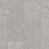 Shaw Floorte Loose Lay Apex Iron Swatch