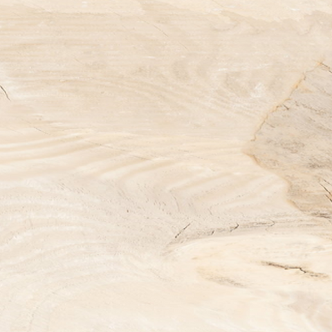 Paramount Tile Backwoods Country Oak 6"x 36" Swatch
