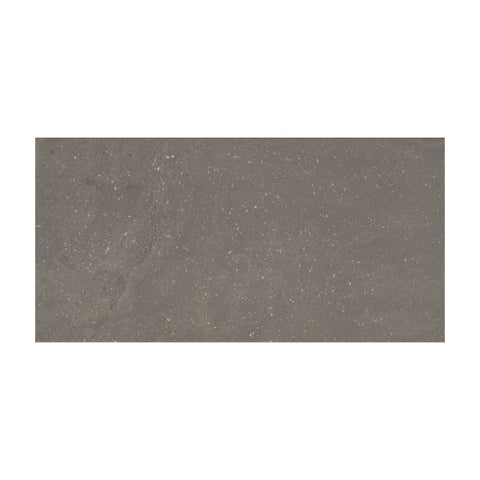 Daltile Exposition Rectangle 12x24 Cameo Swatch