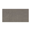 Daltile Exposition Rectangle 12x24 Cameo Swatch