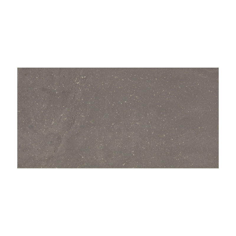 Daltile Exposition Rectangle 12x24