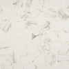 Pietra Porcelain Collection Carrara 2”x2" Hexagon Matte Swatch