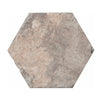 Tile Collection Chicago 9x11 Hexagon Tile South Side Swatch