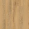 Stanton Arcadia WPC Luxury Vinyl Coastal Wheat Swatch