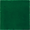Fern / 12.80