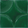 Fern / 12.80