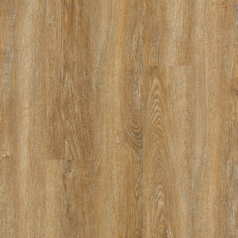 Mohawk Vinyl SolidTech Discovery Ridge Richmond Gold