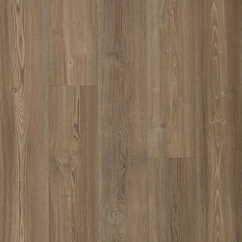 Mohawk Dodford 20 Dry Back Mochocino Pine