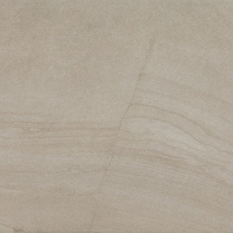 Daltile Wanderwise Rectangle 12x24