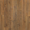 Mohawk Ellenwood Nature Walk Oak Swatch